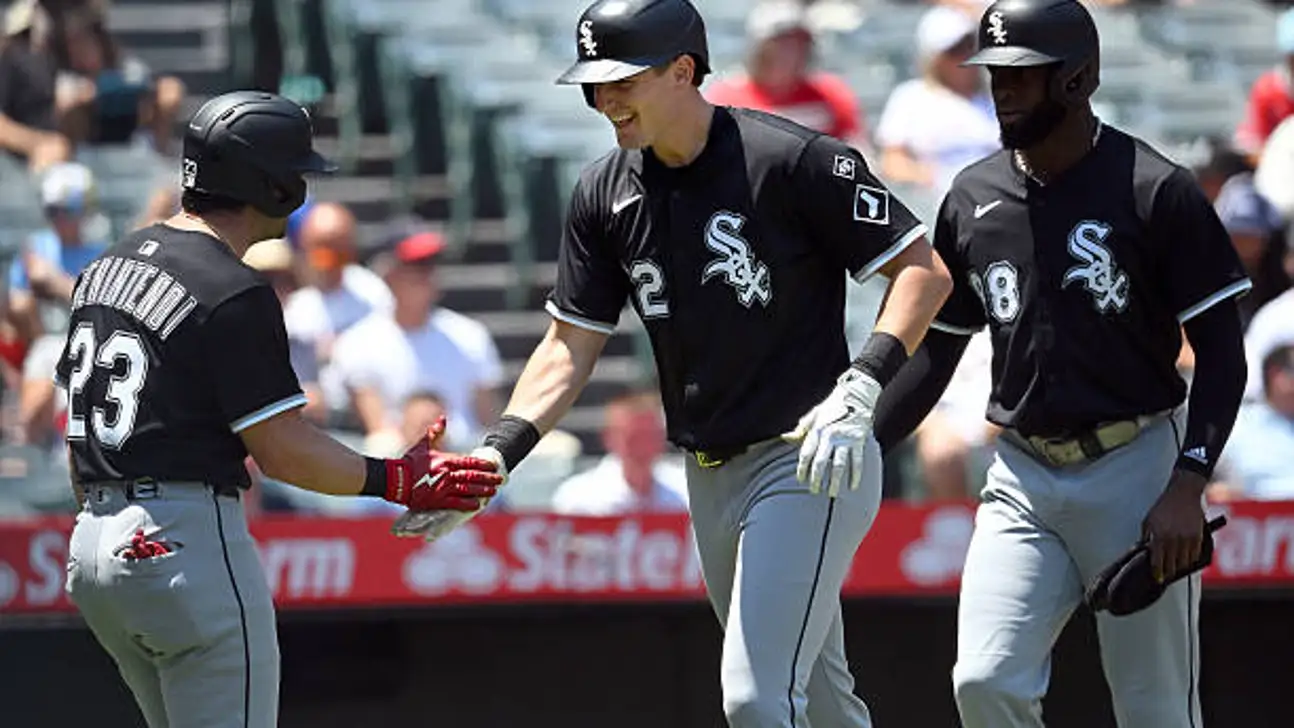 Seattle Mariners vs White Sox Match Player Stats